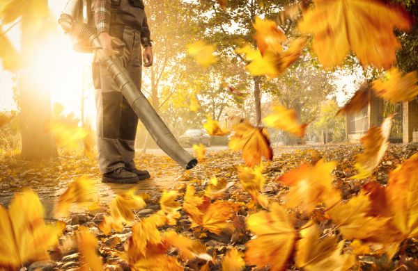 Cost of Leaf Blowing Service in Redwood City