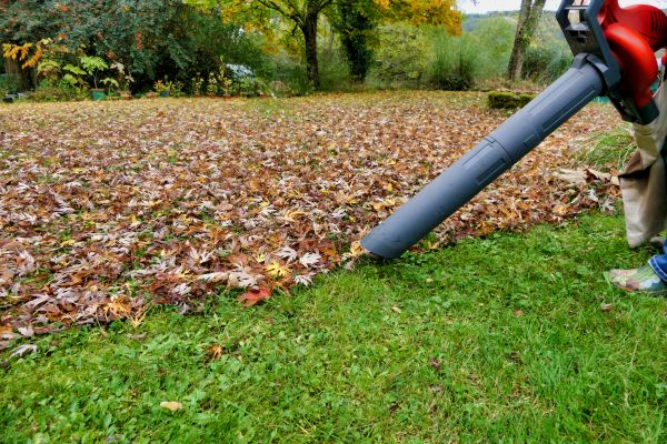 Cost of Leaf Vacuuming Service in Redwood City
