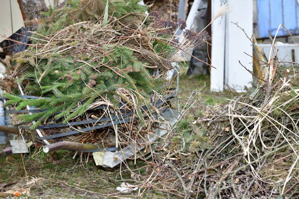 Cost of Yard Debris Removal in Redwood City