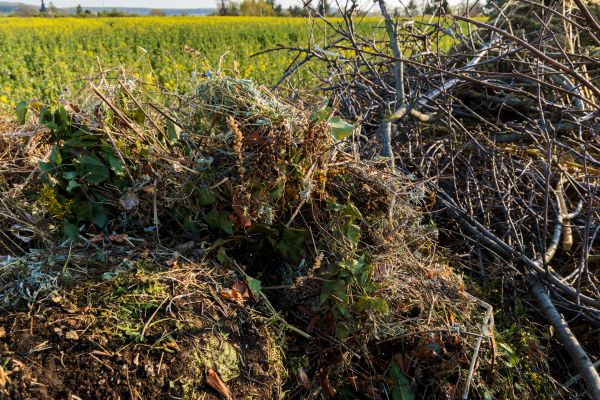 Cost of Brush Disposal in Redwood City