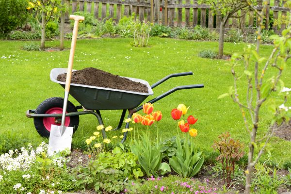 Cost of Spring Yard Cleanup in Redwood City