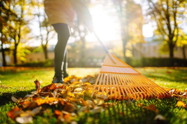 Cost of Leaves Raking in Redwood City