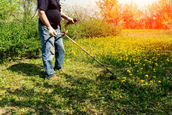 Cost of Yard Clearing Service in Redwood City