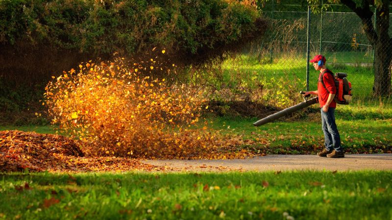 Professional Leaf Removal Equipment