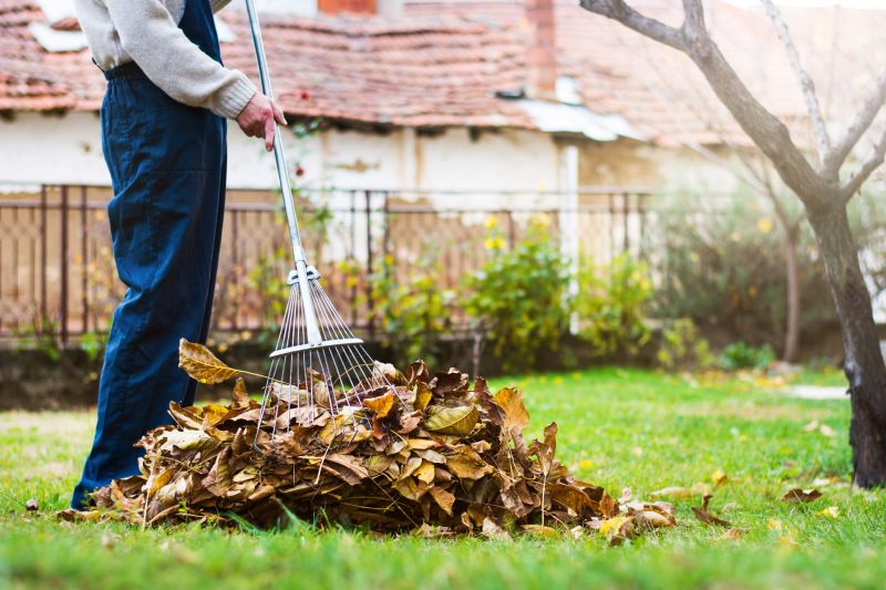 Fall Lawn Maintenance Service