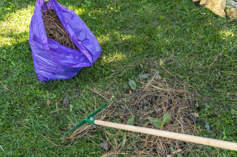 Leaf Raking Service detail