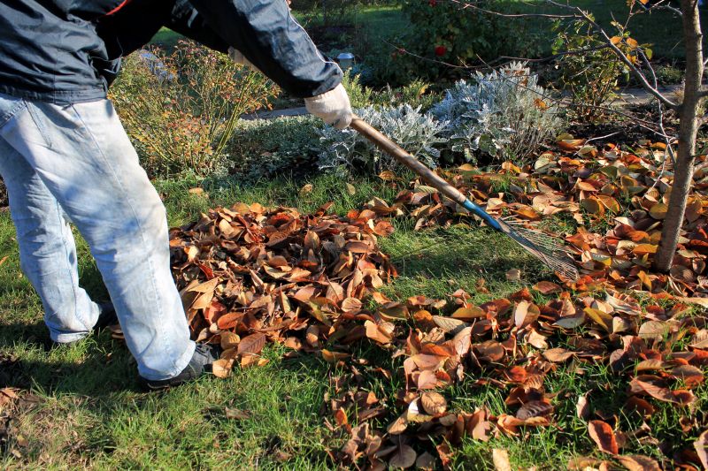 Fall Lawn Maintenance