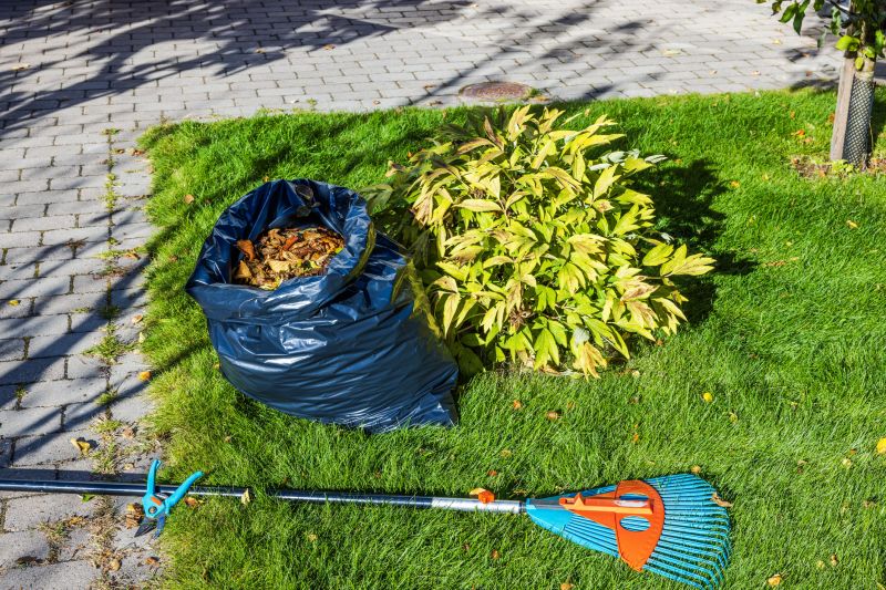 Lawn Debris Cleanup